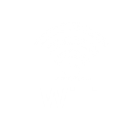 Wi-Fi